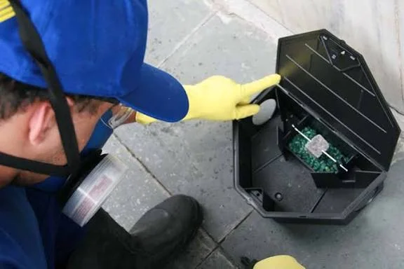 controle de ratos